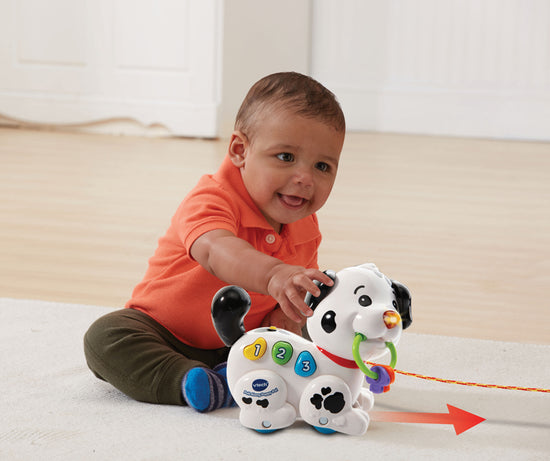 VTech Pull Along Puppy Pal l To Buy at Baby City