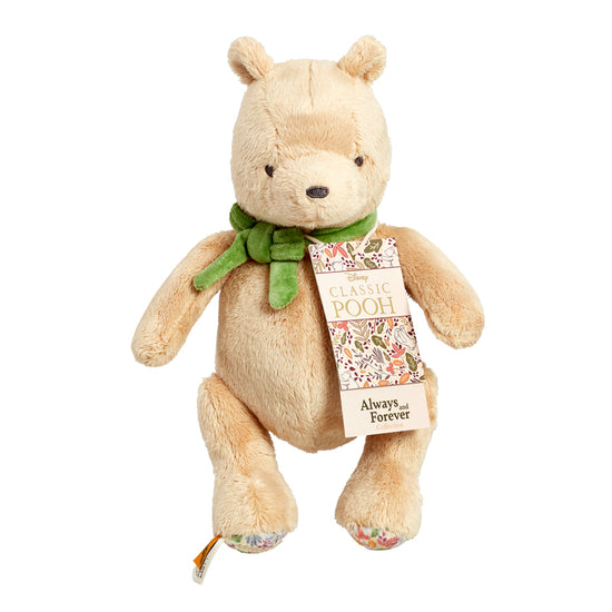 Load image into Gallery viewer, Disney Always &amp;amp; Forever Winnie The Pooh Soft Toy 23cm l Baby City UK Retailer
