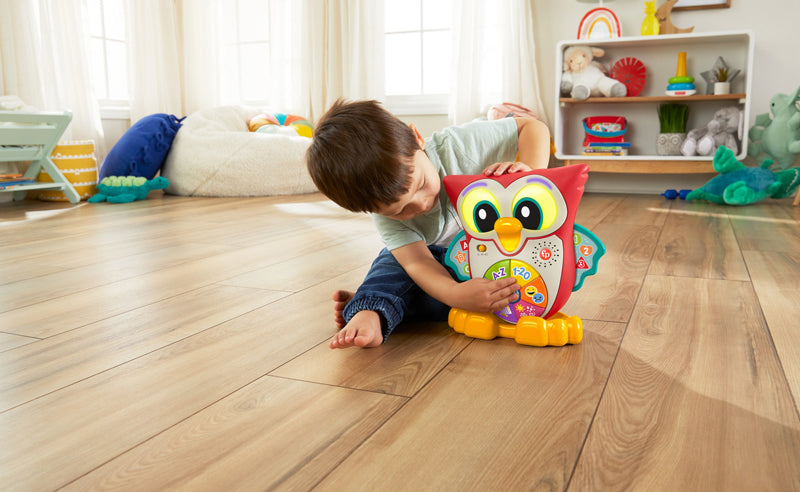 Load image into Gallery viewer, Baby City&amp;#39;s Fisher-Price Linkamals Wise Eyes Owl

