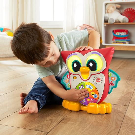 Fisher-Price Linkamals Wise Eyes Owl at Vendor Baby City