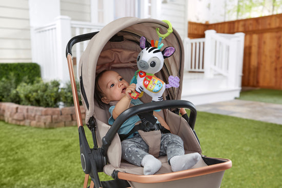 Load image into Gallery viewer, VTech On-the-Go Soft Zebra at The Baby City Store
