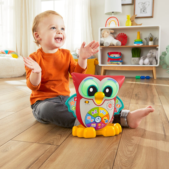 Shop Baby City's Fisher-Price Linkamals Wise Eyes Owl