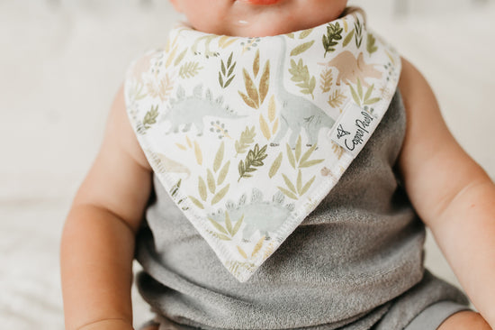 Load image into Gallery viewer, Copper Pearl Bibs Rex 4Pk l Baby City UK Stockist
