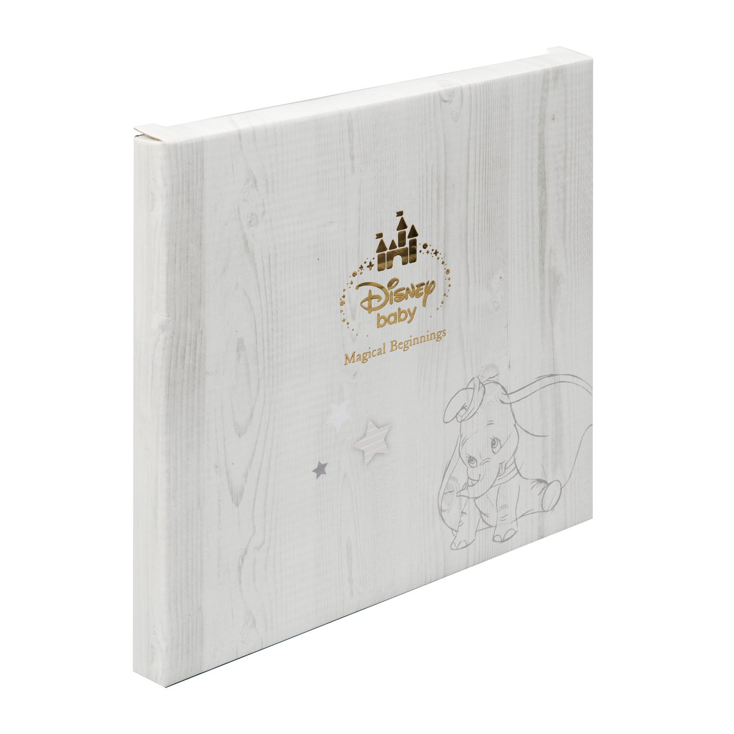 Disney Magical Beginnings My First Year Photo Record Book l Baby City UK Stockist